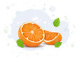 Half Piece of Orange fruit vector illustration with Orange slice and Green min Leaves