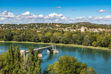Fototapete - Saint Benezet bridge in Avignon