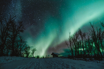 Wall Mural - northern lights aurora borealis winter landscape
