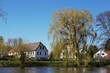 Offentlicher Teich Holzhausen Leipzig mit Weide im Frühjahr
