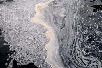 Wall Mural - Spring flood of the river, foam on the water.