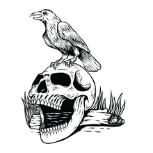 Hand Drawn Skull With Crow