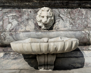 Wall Mural - Lion's mouth shaped spout of the fountain in Santa Croce square, erected in 17th century, Florence city center, Tuscany region, Italy