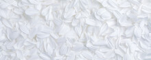 Simple Background Of Soft White Flower Petals For Weddings, Or Other Peaceful Or Serene Backgrounds.