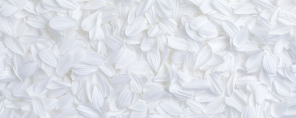 Simple background of soft white flower petals for weddings, or other peaceful or serene backgrounds.