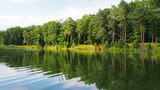 Fototapeta Łazienka - Las, woda, natura, przyroda, zieleń