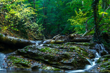 Sticker - forest waterfall