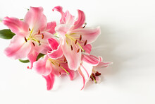 Pink Lily Flowers On A White Background. Flower Business, Floristry Concept