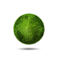 Poster - Green planet earth covered with grass, world environment day