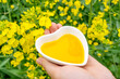Hand holding a dish of golden rapeseed oil