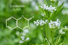 Skeletal Formula Of Coumarin. Substance Causes The Odour Of Sweet Woodruff (Galium Odoratum).