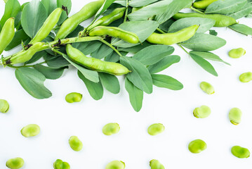 Wall Mural - Fresh organic vegetable broad beans on white background