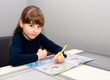 © Olha - Beautiful little girl, a student of the second class. Sitting at a table with books and notebooks. Distance learning during war and quarantine