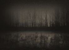 Dark Landscape Showing River, Forest And Stars In The Night Sky