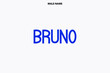 Bruno Male Name Modern Calligraphy Bold Text Design