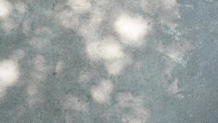 Tree leaves in sunlight beautiful shadow on reflect on concrete wall