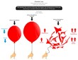 Charles Law Infographic Diagram Example helium balloon when volume increase temperature increase then crumble gas amount pressure constant experiment observation physics science education vector