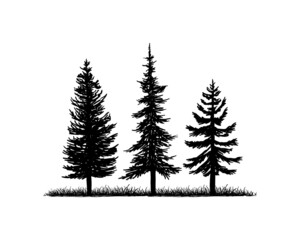 Wall Mural - Old Pine Tree Silhouette on the Park Residential landscape Hand Drawing Symbol Vintage Seal Stock Vector	