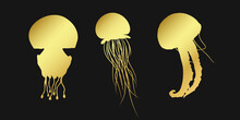 Set Golden Jellyfish, Medusa, Sea Jelly Or Nettle-fish Sign Icon On Black Background. Gold Vector Clipart Illustration