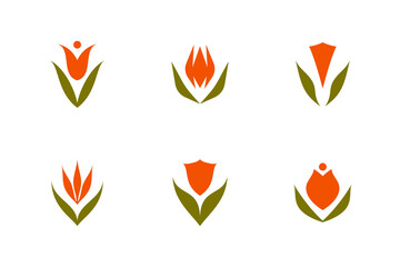 Tulip vector logo mark template or icon. Set of elegant design elements with ornamental flowers