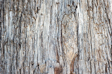 Poster - old bright natural wooden texture closeup with dry grass