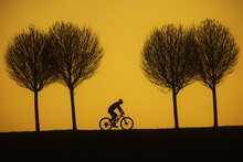 Cyclist Riding Along The Road Sunset Has Turned The Sky Yellow, Only Silhouettes Are Visible
