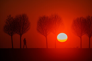 they stand on the road in the sunset only silhouettes are visible, there is a sharp back light from the sun