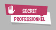 Logo secret professionnel.