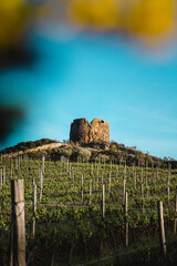 Wall Mural - ruins of castle