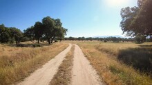 Via De La Plata, Dirt Road Through Holm Oak Plantations Between Carcaboso And Venta Quemada, Province Of Cáceres, Extremadura, Spain - Dolly