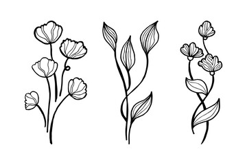 Wall Mural - Hand drawn vector design floral elements. Vector illustration.