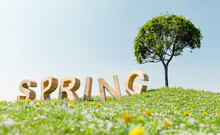 Wooden Sign With The Word SPRING In A Meadow