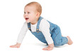 Happy crawling Baby Side view over White. Laughing Active Child study to crawl. Babies Development and Growth. Playful little Kid in Jeans Clothes isolated