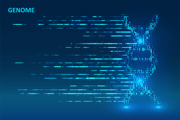 Big genomic data visualization