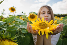 Woman Holding Yellow Sunflower Standing In Field