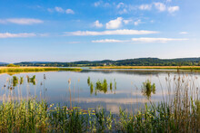 Germany, Baden-Wurttemberg, Reichenau Island, Lakeshore In Wollmatinger Ried Nature Reserve