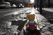 To Late For Departed Bus / Little Teddy Bear Tourist At City Sit On His Suitcase On Curbside And Look After The Missed Bus (copy Space)
