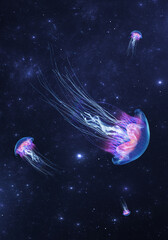Wall Mural - glowing jellyfish swim deep in blue sea cosmos. medusa neon jellyfish fantasy in space cosmos among 