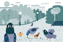 Pigeons In Park. Cute Street Doves And Sparrows Pecking Grain. City Birds Eating Seeds. Urban Bench, Lanterns And Trees. Feed Feathered Flying Animals. Town Parkland Fauna. Vector Concept