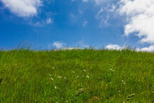 Blue Sky With Clouds And Green Field, Grass With Daisies. Spring, Europe, Netherlands.