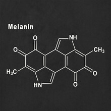 Melanin Molecule, Structural Chemical Formula