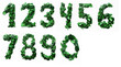 
set of numbers from one to nine made from fresh green leaves isolated on white background
