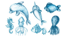 Watercolor Blue Set Of Marine Life On A White Background