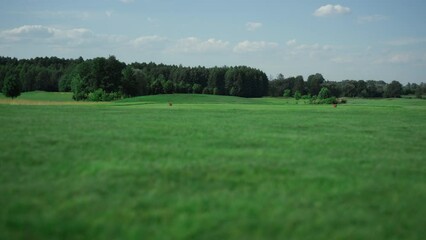 golf fairway landscape view at country club. no people nature relaxing concept.