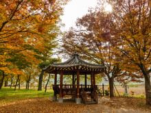 Gazebo In Autumn Park
