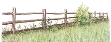 Watercolor Illustration. Field, Country Hedge. Agriculture, Farmland. Nature Village Landscape. Organic Farming.