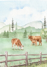 Cows Grazing. Watercolor Illustration. Green Field, Countryside. Agriculture, Farmland. Nature Village Landscape. Organic Farming.