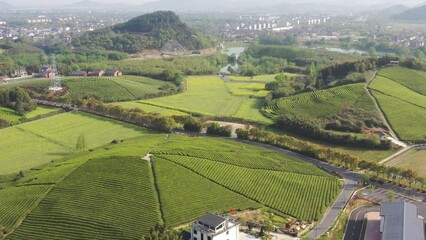 Wall Mural - countryside