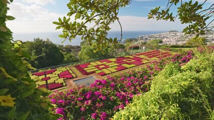 Rich flora and flowers in botanical garden of Funchal, Madeira. Gorgeous sunny view of the diverse vegetation of the island Madeira and Funchal city. Gimbal shot, 4K
