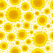 Sunflowers Vector Seamless Pattern. Yellow Blossoms Floral Background, Sun Flowers Illustration. Trendy Summer Print Design
